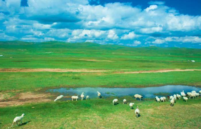 内蒙古呼伦贝尔五天环线游经验分享-亲测的内蒙古自驾游旅游路线